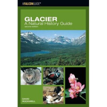 Glacier: A Natural History Guide