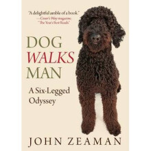 Dog Walks Man