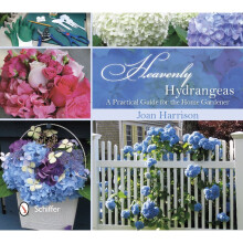 Heavenly Hydrangeas