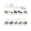 The Fashion Shoe 1