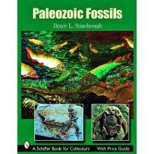 Paleozoic Fossils