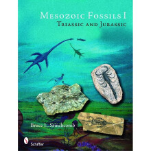 Mesozoic Fossils