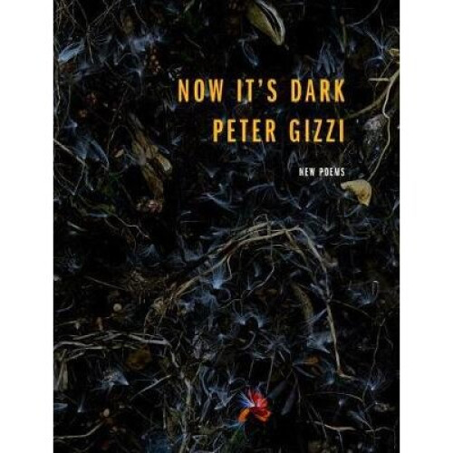 Now It's Dark Wesleyan Poetry Series