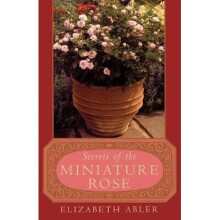 The Secrets of the Miniature Rose