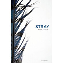 Stray