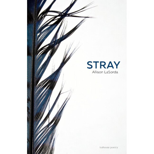 Stray
