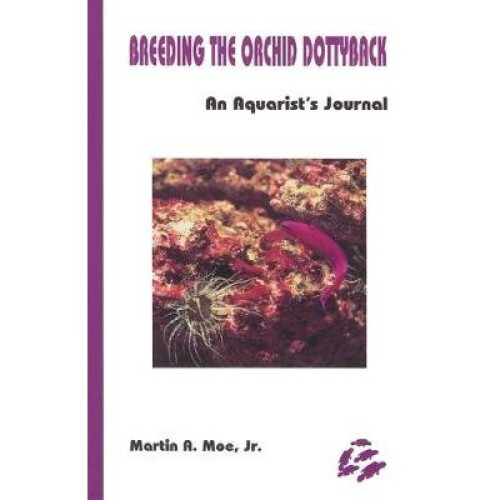 Breeding the Orchid Dottyback, Pseudochromis Fridmani