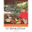 Recipe for a Delicious Life 1