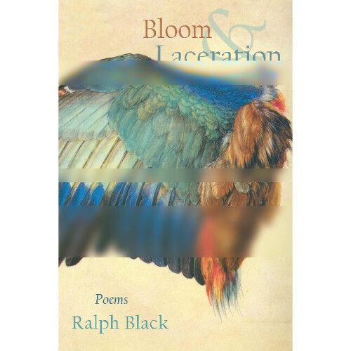Bloom and Laceration