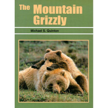 Mountain Grizzly