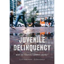 Juvenile Delinquency Why Do Youths Commit Crime