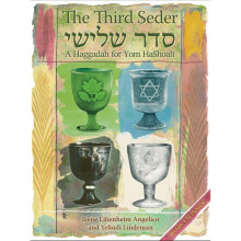 Third Seder A Haggadah for Yom Hashoah Judaism Worship Rites Ceremoni