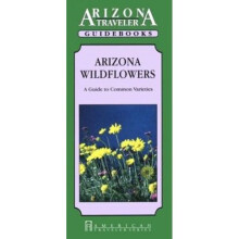 Arizona Wild Flowers Guide to Common Species American Traveler Arizona Traveler Guidebooks