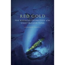 Red Gold The Managed Extinction of the Giant Bluefin Tuna