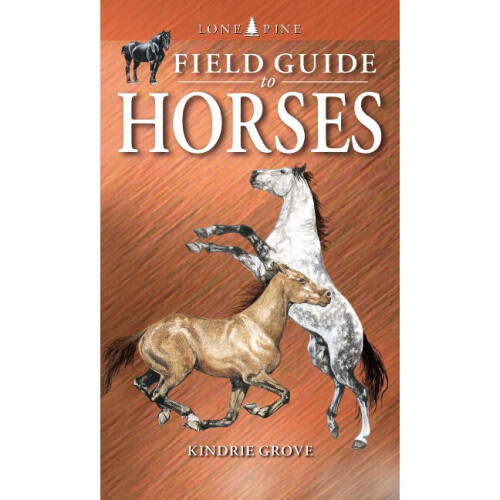 FIELD GUIDE TO HORSES