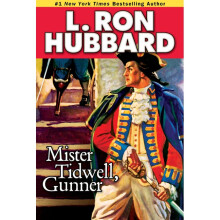 Mister Tidwell Gunner A 19th Century Seafaring Saga of War, Selfreliance, and Survival Stories from the Golden Age
