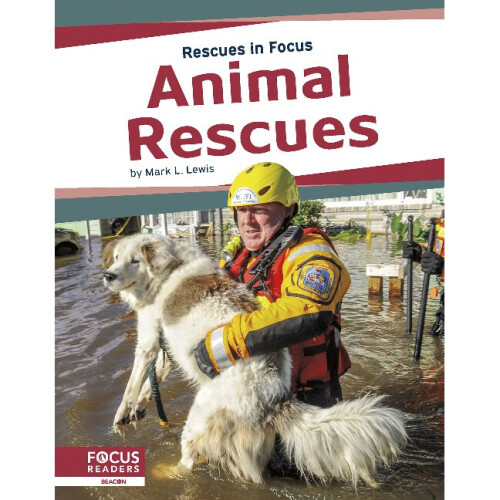 Animal Rescues Rescues in Focus