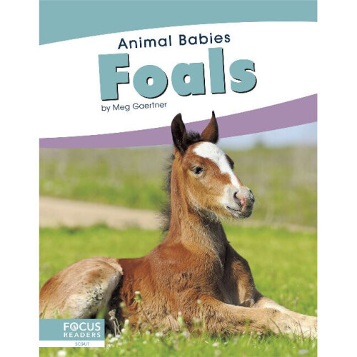 Foals Animal Babies