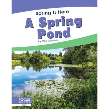 A Spring Pond Spring Is Here