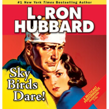 Sky Birds Dare Stories from the Golden Age