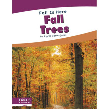 Fall Trees Fall Is Here