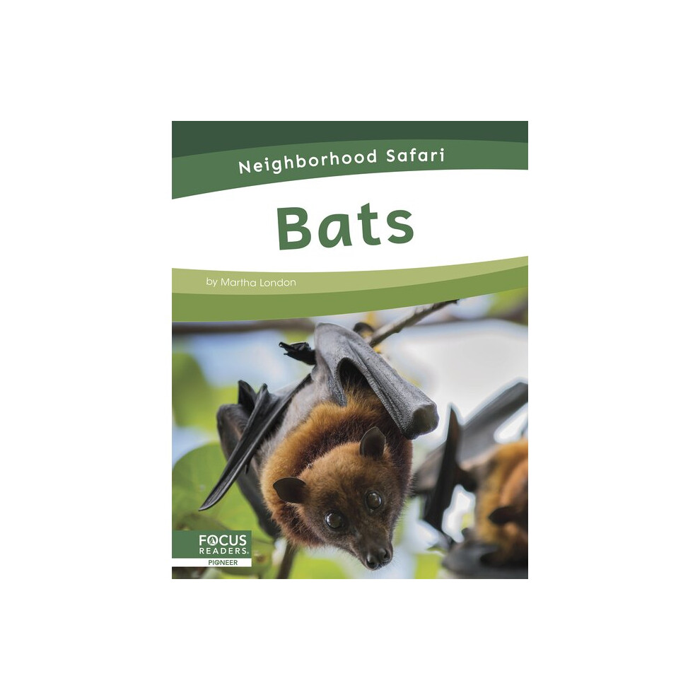 Bats Neighborhood Safari