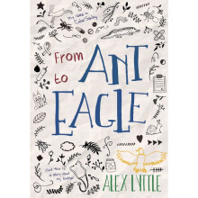 From Ant to Eagle