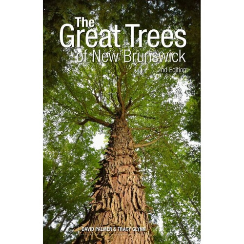 The Great Trees of New Brunswick