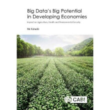 Big DataS Big Potential In Developing Economies