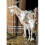 External Parasites of Small Ruminants A Practical Guide to Their Prevention and Control 1