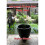 Advanced Flying Star Feng Shui 1