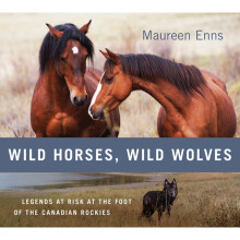 Wild Horses, Wild Wolves Legends at Risk at the Foot of the Canadian Rockies