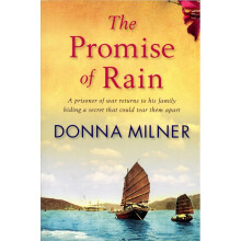 The Promise of Rain A Prisioner of War Returns to His Family Hiding a Secret That Could Tear Them Apart