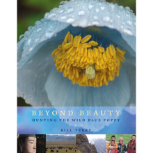 Beyond Beauty Hunting the Wild Blue Poppy