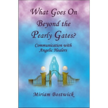What Goes on Beyond the Pearly Gates Communications with Angelic Healers