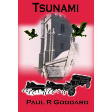 Tsunami (Book 4)