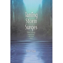 Taming Storm Surges When Ecology Engineering, and Faith Meet