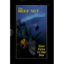 Reef Set Your Eyes to the Sea By author Paul Humann, By author Ned Deloach November, 2007