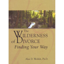 Wilderness of Divorce Finding Your Way Transcending Divorce