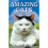 Amazing Cats 1