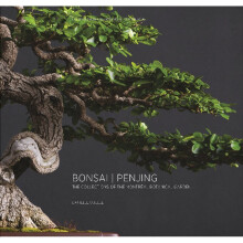 Bonsai Penjing The Collections of the Montral Botanitcal Garden