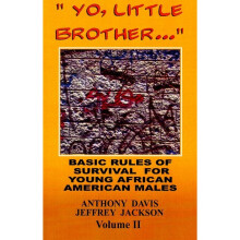 Yo, Little Brother Basic Rules of Survival for Young African American Males v II 2