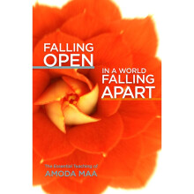 Falling Open in a World Falling Apart The Essential Teaching of Amoda Maa