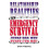 Relationship Realities An Emergency Survival Guide for Men 1