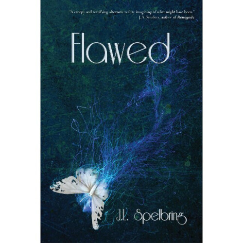 Flawed 2 Perfection