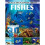 3D Fishes 1