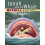 Jonah and the Whale 1