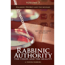 Rabbinic Authority The Vision and the Reality, Beit Din Decisions in English  Halakhic Divorce and the Agunah 3