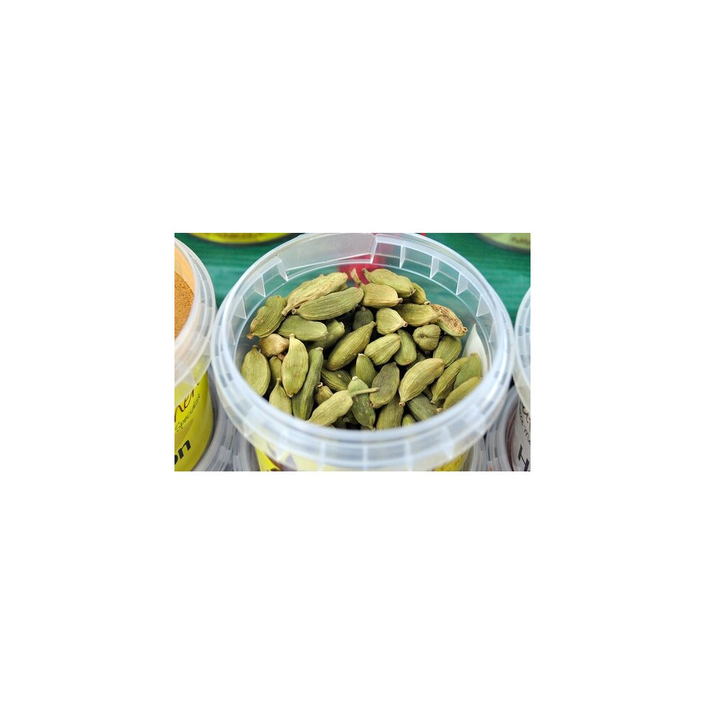 CARDAMOM PODS GREEN WHOLE LARGE SPICE TUB