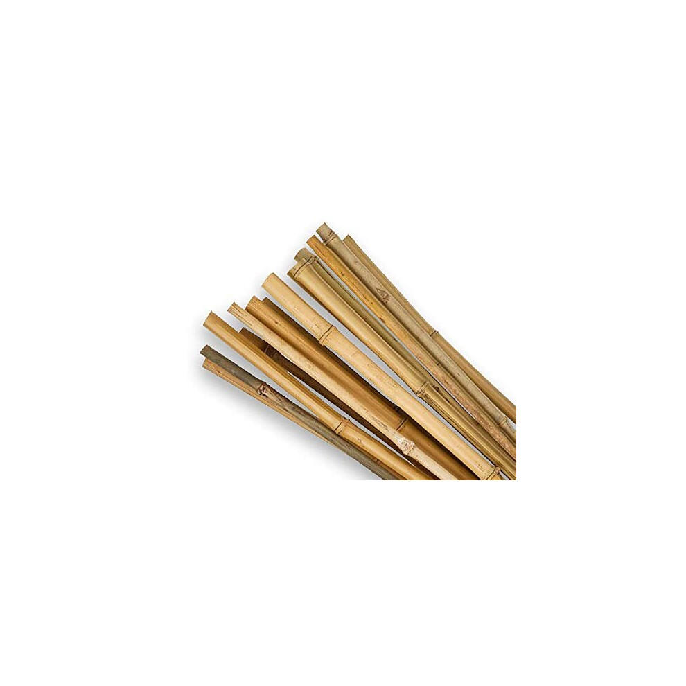 150cm Bamboo Canes Absolute Gardeners Essential Strong Durable